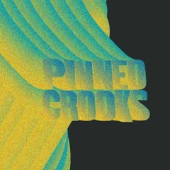 PINNEDCROOKS