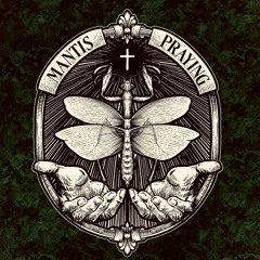 Mantis Praying