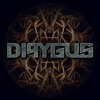 Avatar for Dipygus (Root Sector Records)