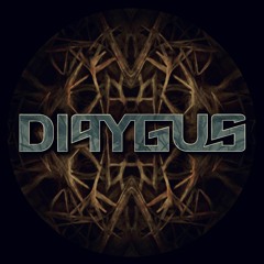 Dipygus - Hidden Stashes