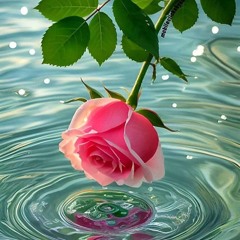 إيناس دعية