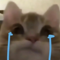 Cún