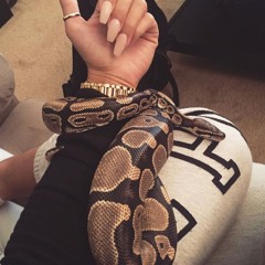 Kuzy