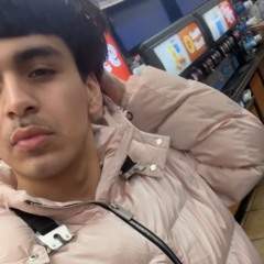 WUAPO the flexican