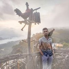 Phi Nguyễn