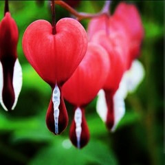 naam mey kya rakha hai