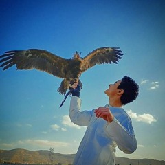 عبدالرحمن عبد الرحمن