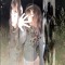 ₊˚wWIIIi0_/diE⋆☠︎︎