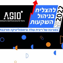 Agio Risk Management and Financial Decisions Ltd.