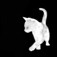 𝐡ˢ