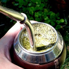 de Yerba Mate