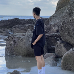 Trí Vỹ