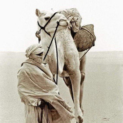 وليد هاني