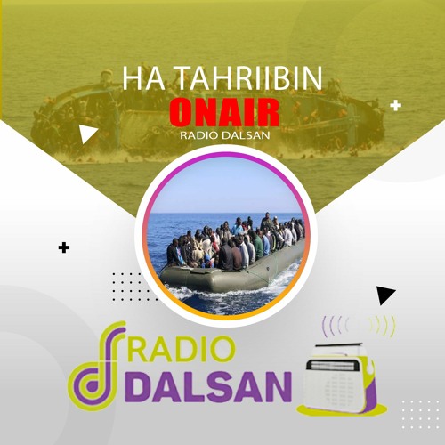 Dalsan Radio’s avatar