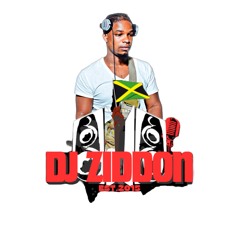 Dj Ziddon