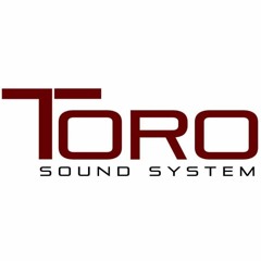 Toro Sound System