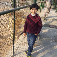 saqib