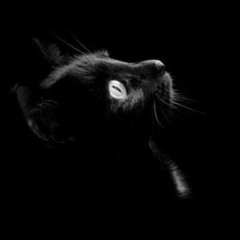 en Black