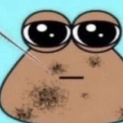 B1NDERB0Y