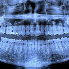 Vanni (@vanniwashere)