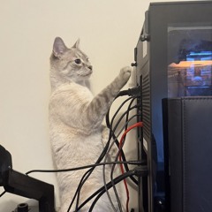 stupid idiot dumbass