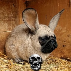 членосос и хуесос