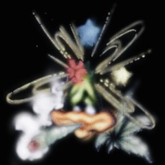 drmsnb