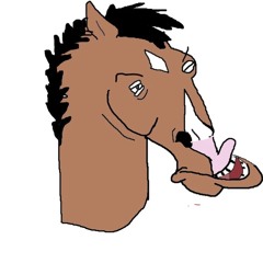 The retard horse