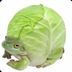 KreiSoPo