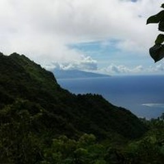 Moana Kessel
