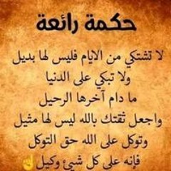 محمد فريد