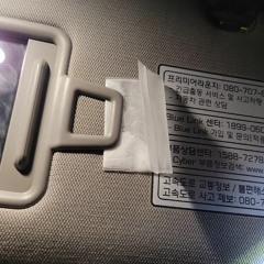 현기러기