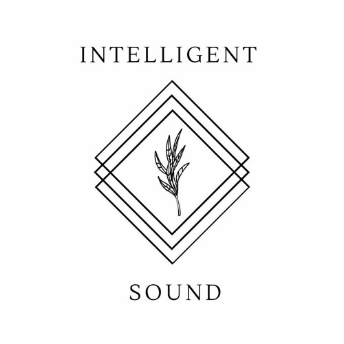 Intelligent Sound’s avatar
