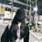j_jjk