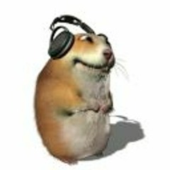 sxnvte 2