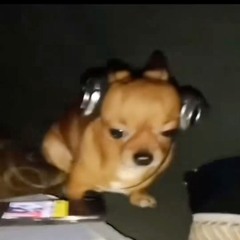 Park_Lil_Pen official