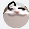 pop cat