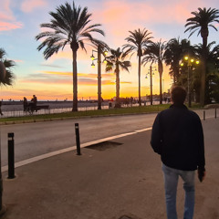 The Chinese farmer Coronita 14F