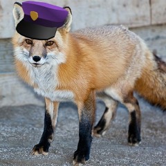 SecurityFox1