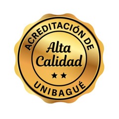 Comunicación Unibagué
