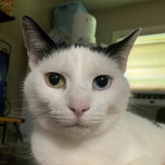 Frunk