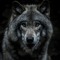 Wolves