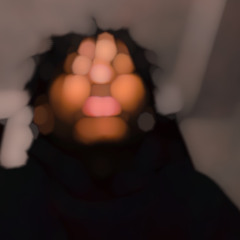 sirleekk
