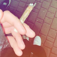 qqweeeeer