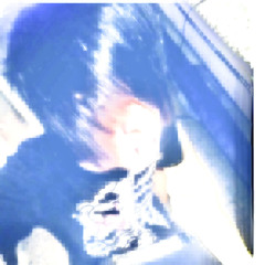cphora