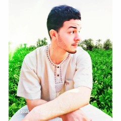 Ahmed Ali Elshahed