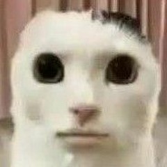 ыы вика лох ыыы