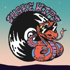 Snake Hips Recordings / Get Hipnotized