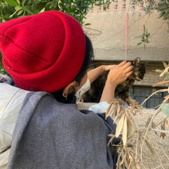 زينب