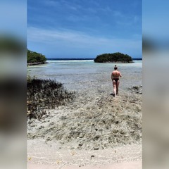 Marlijn